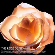 faces مستحضر ديور برستيج لو كونسنتريه يو للعيون