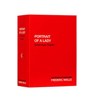 Portrait Of A Lady faces portrait of a lady