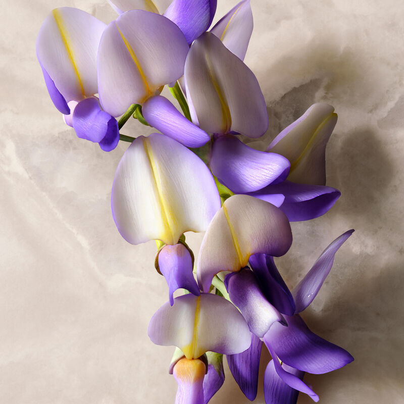 gucci gucci guilty for her  eau de parfum