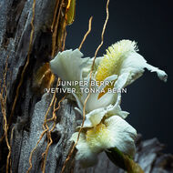 Vetiver faces vetiver