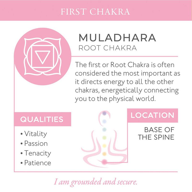 واكس ليريكال شمعة صوفي كونران مقدمة في السيراميك القوة