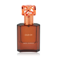Oud 01 faces oud 01