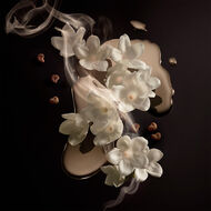 faces boss  the scent magnetic for her eau de parfum