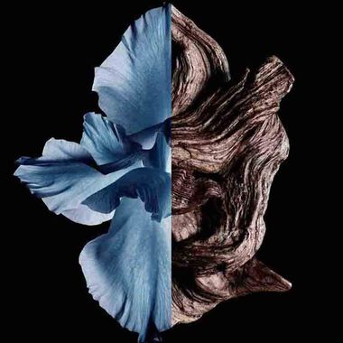 faces جنتلمان أو دو تواليت إنتانس