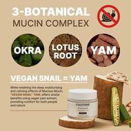 Phyto Ground Calming Moisture Cream faces phyto ground calming moisture cream