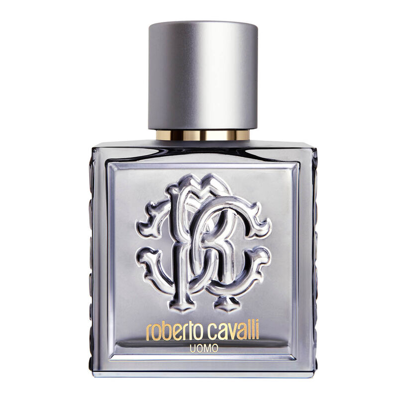 roberto cavalli uomo silver essence eau de toilette
