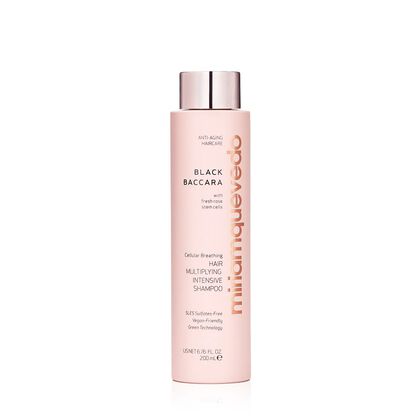 Black Baccara Intensive