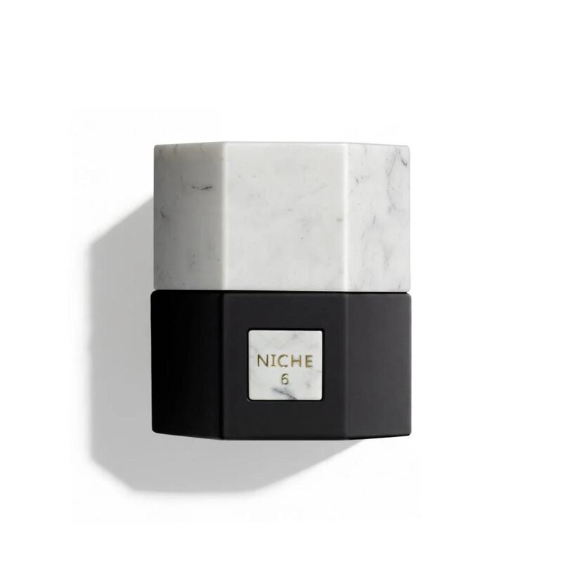 Niche 6