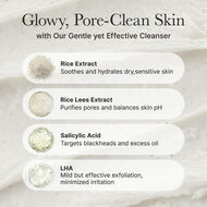 Rice + LHA Pore Control Rice Cake Cleanser faces rice lha pore control rice cake cleanser