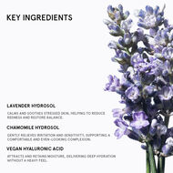 Daisy Floral Mist faces daisy floral mist
