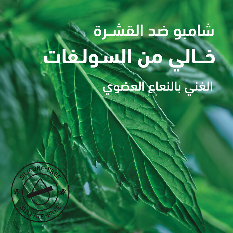 yves rocher antidandruff treatment shampoo