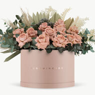 faces petra blush box x large