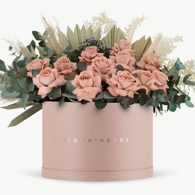 faces petra blush box x large