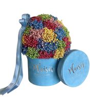 Velvet Gypso - Mini Rainbow faces velvet gypso mini rainbow