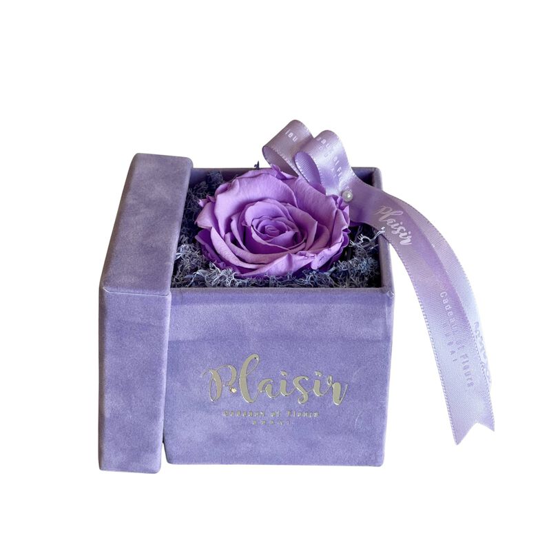 plaisir cadeaux et fleurs forever rose infinity  single