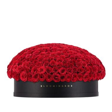 Rose Box Mega faces rose box mega