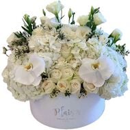 faces velvet hatbox   all white floral