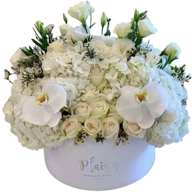 plaisir cadeaux et fleurs velvet hatbox  all white floral