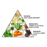 faces l aventure intense