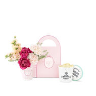 faces banana pudding bundle by magnolia bakery