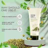Herbday 365 Master Blending Facial Foaming Cleanser Mungbean faces herbday 365 master blending facial foaming cleanser mungbean