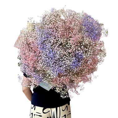 Hand-Tied Bouquet - Gypso Rainbow Of Love faces hand tied bouquet gypso rainbow of love