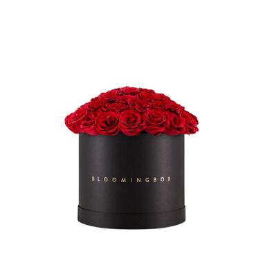 faces rose box large