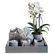 Luxury Giftset Tray faces luxury giftset tray