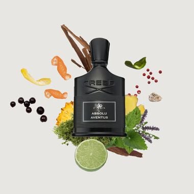 faces aventus absolu