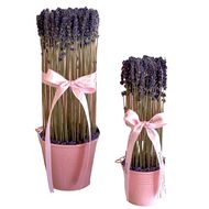 faces lavender   set of two pails