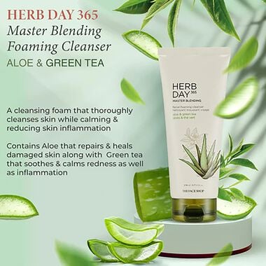 Herbday 365 Master Blending Foaming Cleanser Aloe & Green Tea faces herbday 365 master blending foaming cleanser aloe green tea