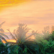 faces mango   coriander perfumed mist hair   body