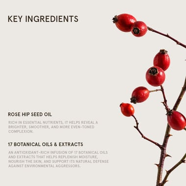 Antioxidant Brightening Oil faces antioxidant brightening oil