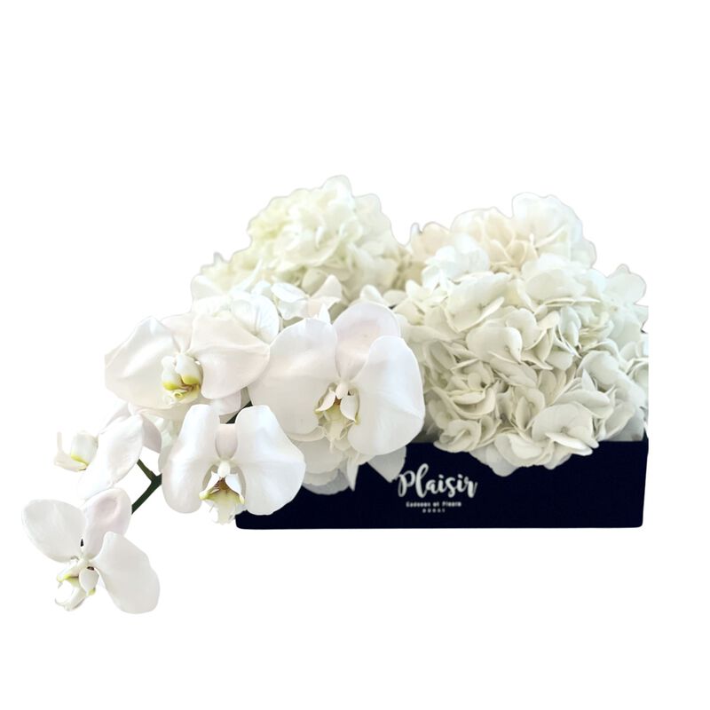 plaisir cadeaux et fleurs velvet tray hydrangeas and orchid