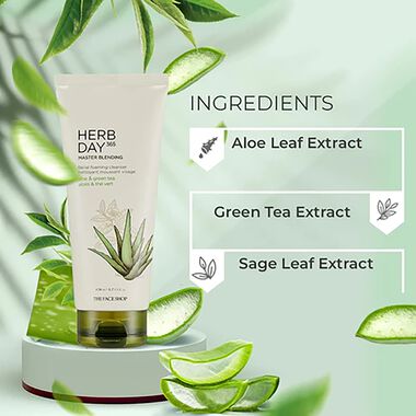 Herbday 365 Master Blending Foaming Cleanser Aloe & Green Tea faces herbday 365 master blending foaming cleanser aloe green tea
