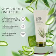 Herbday 365 Master Blending Foaming Cleanser Aloe & Green Tea faces herbday 365 master blending foaming cleanser aloe green tea
