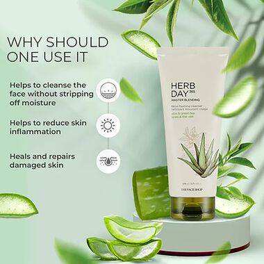 Herbday 365 Master Blending Foaming Cleanser Aloe & Green Tea faces herbday 365 master blending foaming cleanser aloe green tea