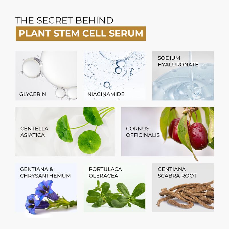 skin centrick stem cell serum