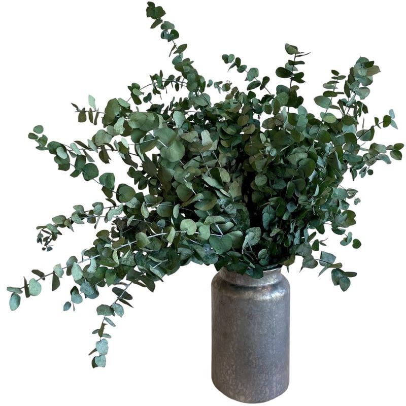 plaisir cadeaux et fleurs vase  infinity eucalyptus medium royal silver