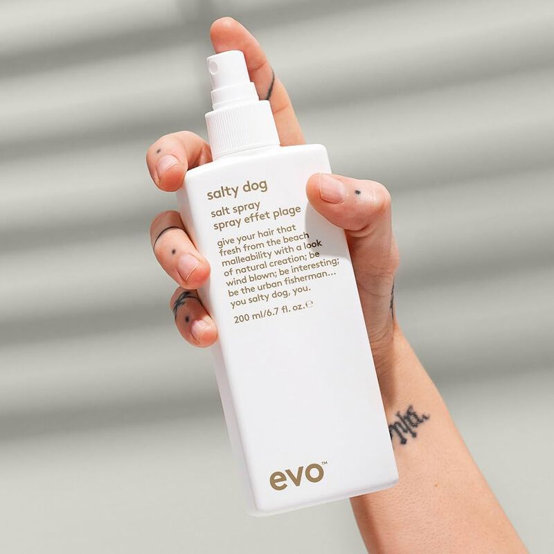 evo salty dog salt spray