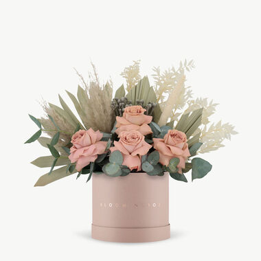 faces petra blush box medium