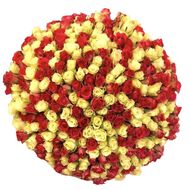 Hand-Tied Bouquet - 251 Mix Coloured Roses faces hand tied bouquet 251 mix coloured roses