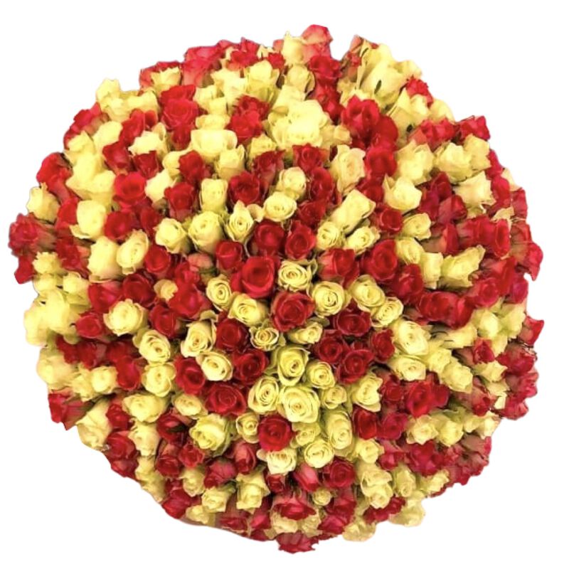 plaisir cadeaux et fleurs handtied bouquet 251 mix coloured roses