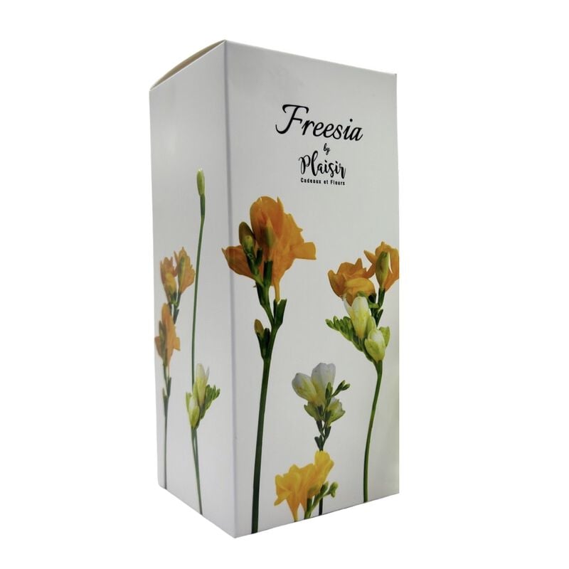 plaisir cadeaux et fleurs freesia diffuser