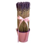 Lavender - Pail faces lavender pail