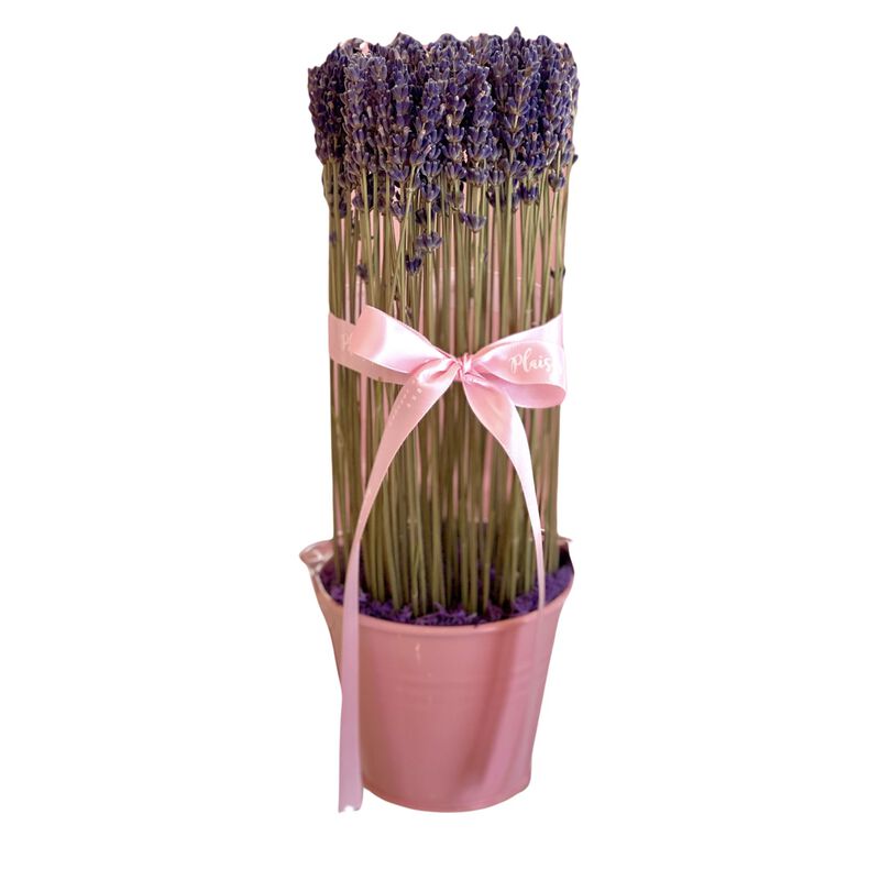 plaisir cadeaux et fleurs lavender pail