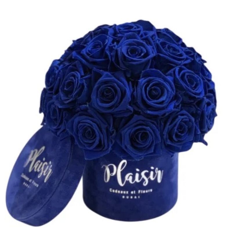 plaisir cadeaux et fleurs forever rose infinity  dome mini