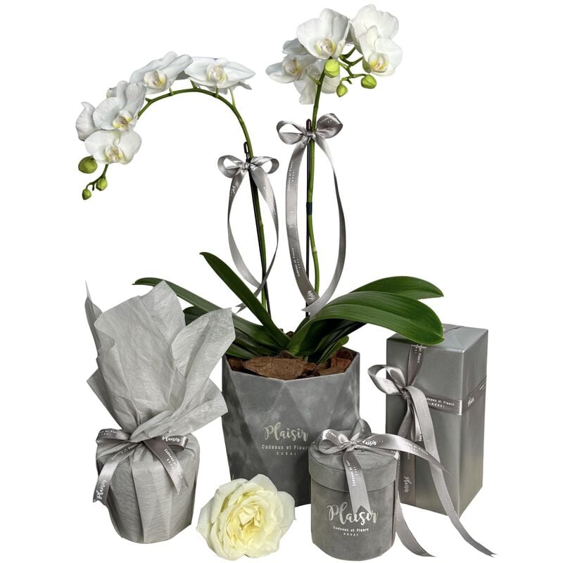 plaisir cadeaux et fleurs giftset orchids, diffuser, chocolate, candle