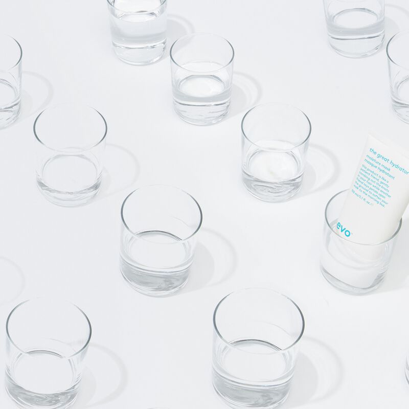 evo the great hydrator moisture mask