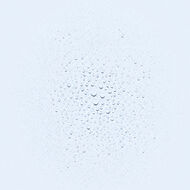 Daisy Floral Mist faces daisy floral mist